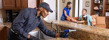 Best Real Estate Pest Inspections  in Berkley, MI